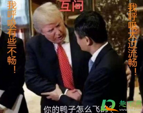 什么时候出美国大选结果3