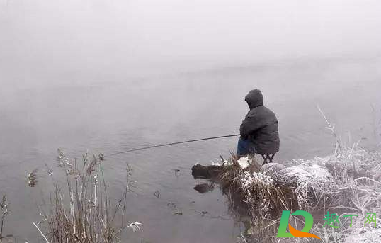 下雪天钓鱼能钓到吗1