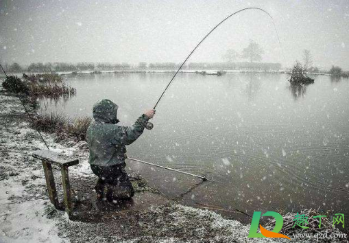 下雪天钓鱼用什么饵料好2