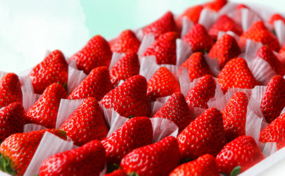 丹东草莓可以保存多久