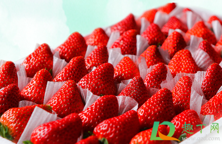 丹东|丹东草莓可以保存多久