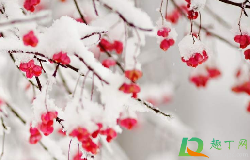 武汉|武汉12月份哪天有雪2020