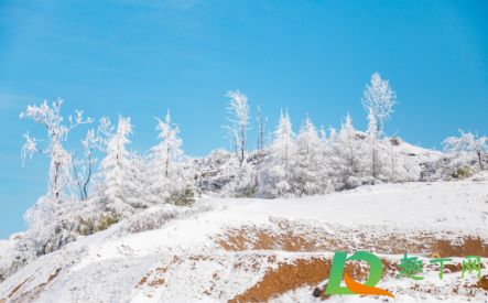 恩施綠蔥坡滑雪場在哪里3