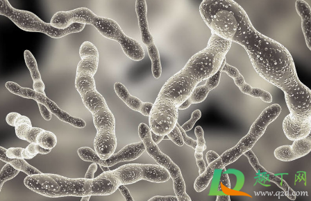 幽门螺杆菌|我国超一半人感染幽门螺杆菌是真的吗