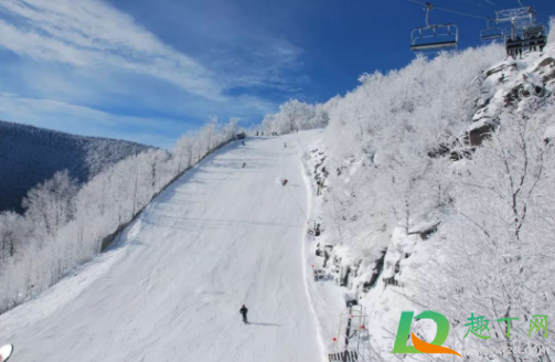 2021过年能去日本滑雪吗2