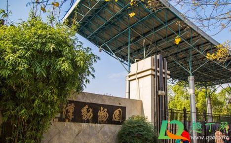 武汉动物园2021年1月1日关闭是真的吗4