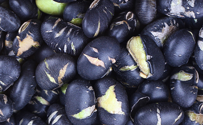 吃黑豆一个月性功能增强了真的吗