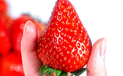 草莓用盐水泡要泡多少时间