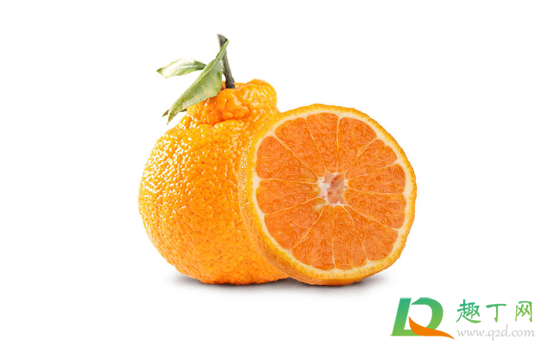 烤橘子可以用丑橘吗3