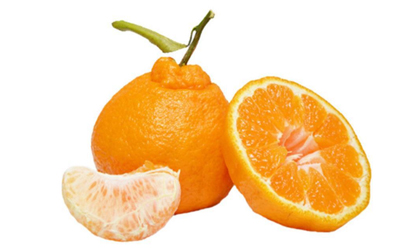 烤橘子可以用丑橘吗