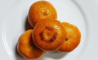 烤橘子对感冒有好处吗
