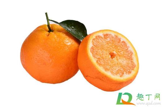 粑粑柑是橘子还是橙子1