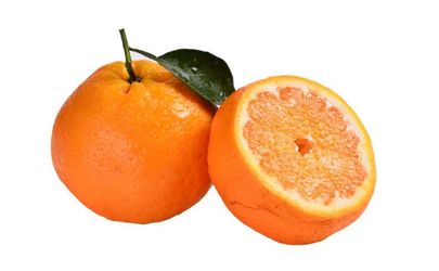 粑粑柑是橘子还是橙子