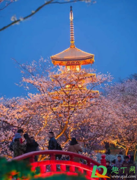 2021年3月份能去武汉大学看樱花吗3