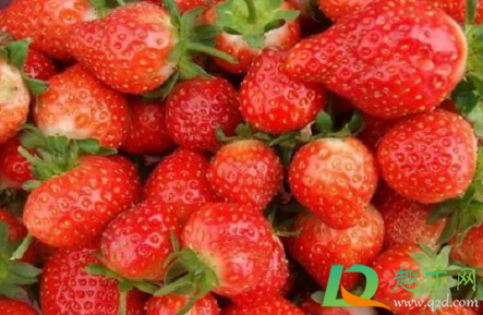 哪种草莓甜2