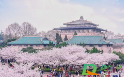 武汉大学樱花要预约吗20211