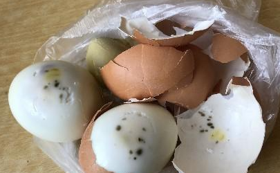 鸡蛋中间为什么有点黑