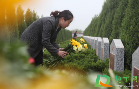 深圳|深圳的墓地可以烧纸吗