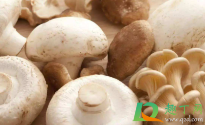 蘑菇长毛了白白的能吃吗2