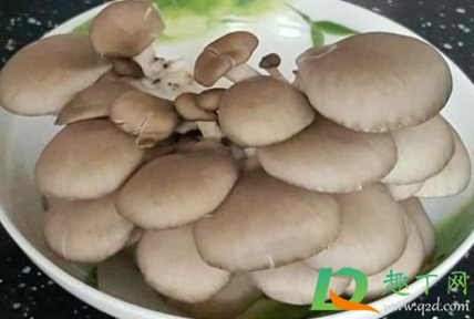 蘑菇长毛了白白的能吃吗3