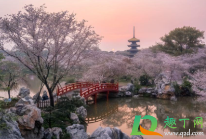 武汉东湖樱花园闭园是真的吗20211