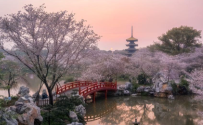 武汉东湖樱花园闭园是真的吗2021