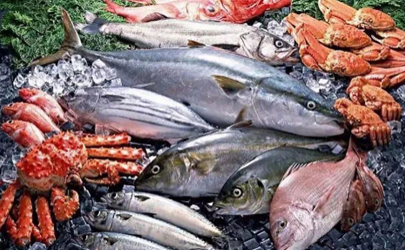 日本核废水倒入太平洋海鲜还能吃吗