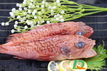 日本禁止福岛黑鲉鱼上市是因为核辐射吗1