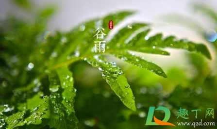 谷雨节气与植物生长有什么关系3