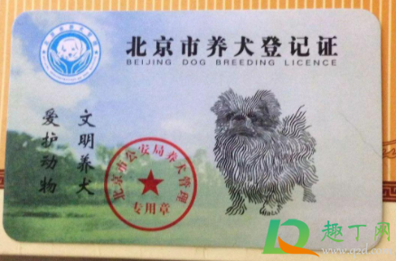 北京养狗证在哪办理20212