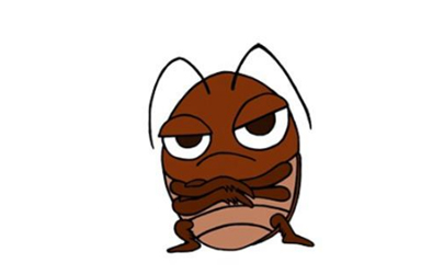 蟑螂爬人身上是因为脏吗