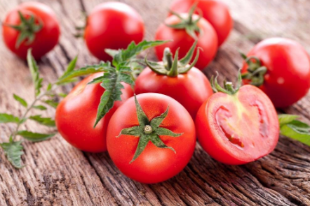 番茄怎么养容易结果1