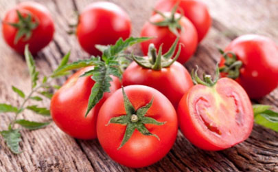 番茄怎么养容易结果