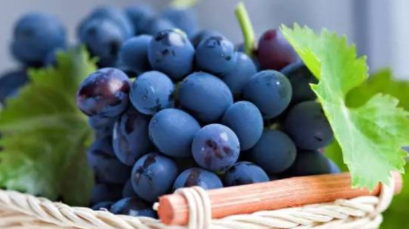 蓝莓酒保质期和最佳饮用期多久1