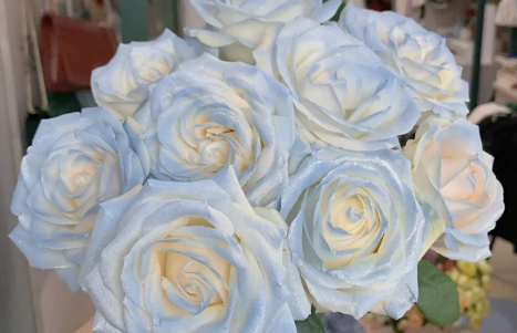 密西根碎冰蓝玫瑰多少钱一朵4