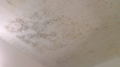 天花板发霉直接刮一遍腻子粉可以吗