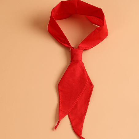 红领巾的系法两种方法2