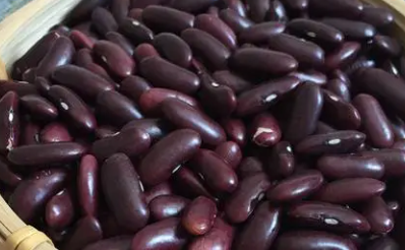 紫芸豆怎么才能煮烂