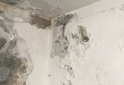 室内漏雨掉墙皮怎么修复2