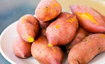 种植红薯怎么判断深栽和浅栽