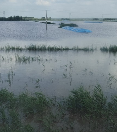 2021齐齐哈尔洪水严重吗2
