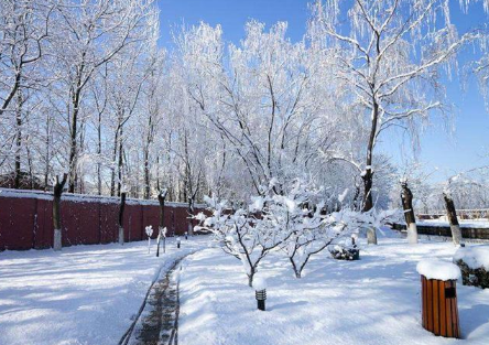 北京12月会不会下雪2