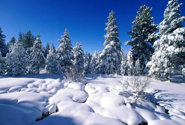 冬天12月冷还是1月冷1