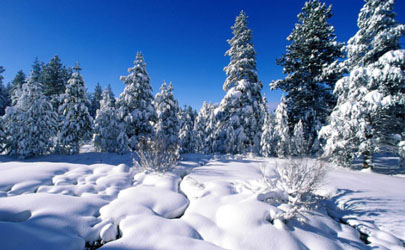 冬天12月冷还是1月冷