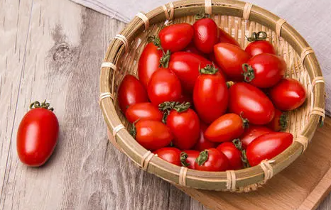 小番茄冬天可以种吗3