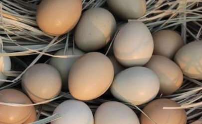 鸡蛋放热水里能闷熟吗