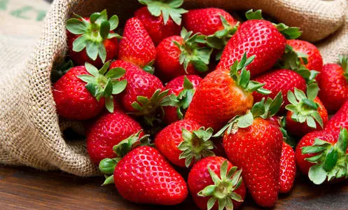 草莓苗种植多久能施肥 2