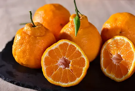 丑橘能卖到几月份1