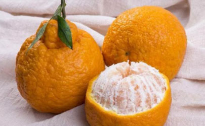 丑橘买回来放冰箱还是常温保存