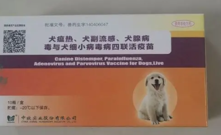 狗打四联疫苗多少针2